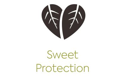 sweet-protection