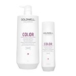 GOLDWELL CARE DS COLOR BRILLIANCE SHAMPOO