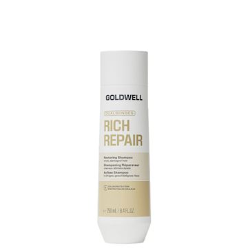 GOLDWELL DS RICH REPAIR RESTORING SHAMPOO 250ml
